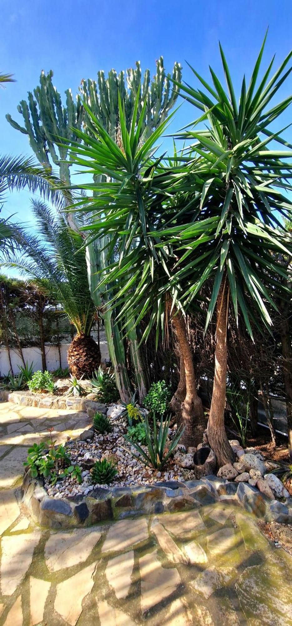 Casa Buganvilla L'Ametlla de Mar Zewnętrze zdjęcie